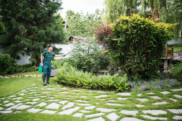 Best Local Pest Control Services  in Williston, FL