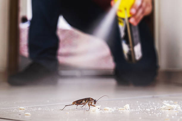 Best Pest Removal Services  in Williston, FL
